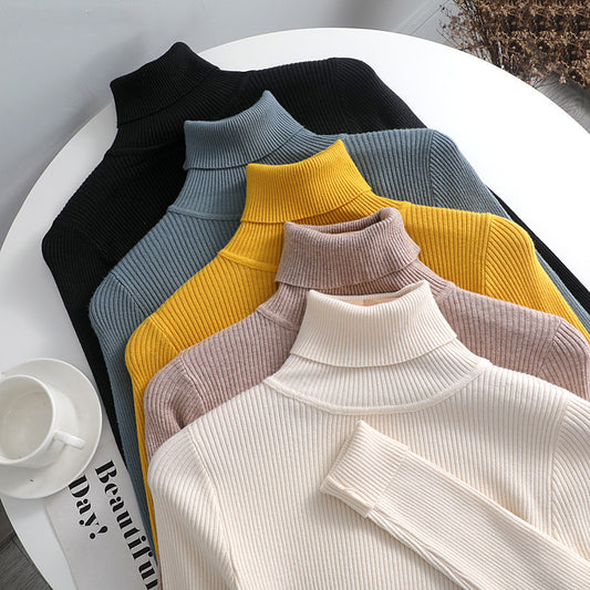 Basic Women High Neck Jumper